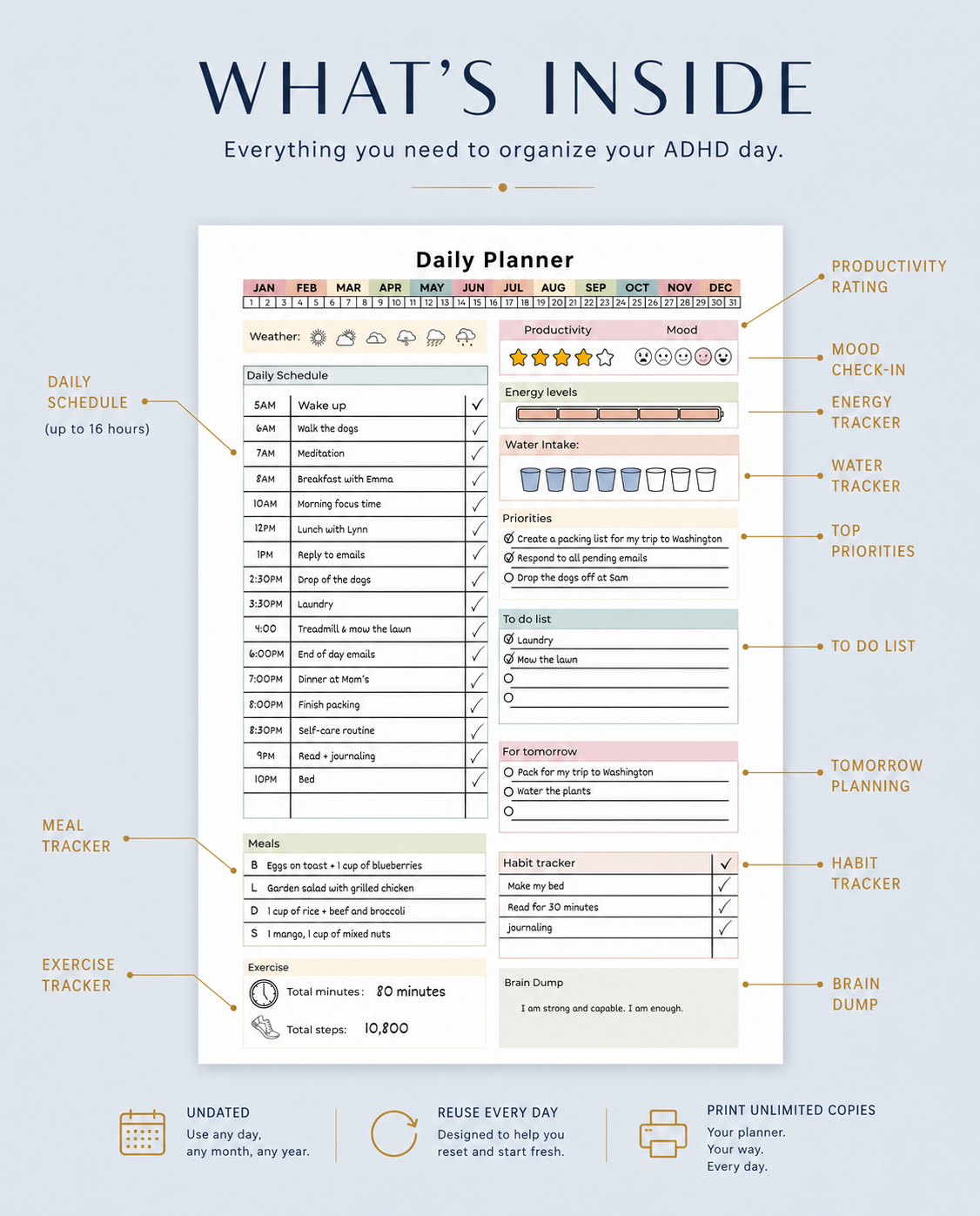 ADHD Daily Planner Printable, Undated ADHD Planner PDF, Brain Dump, Task List, Habit Tracker, Productivity